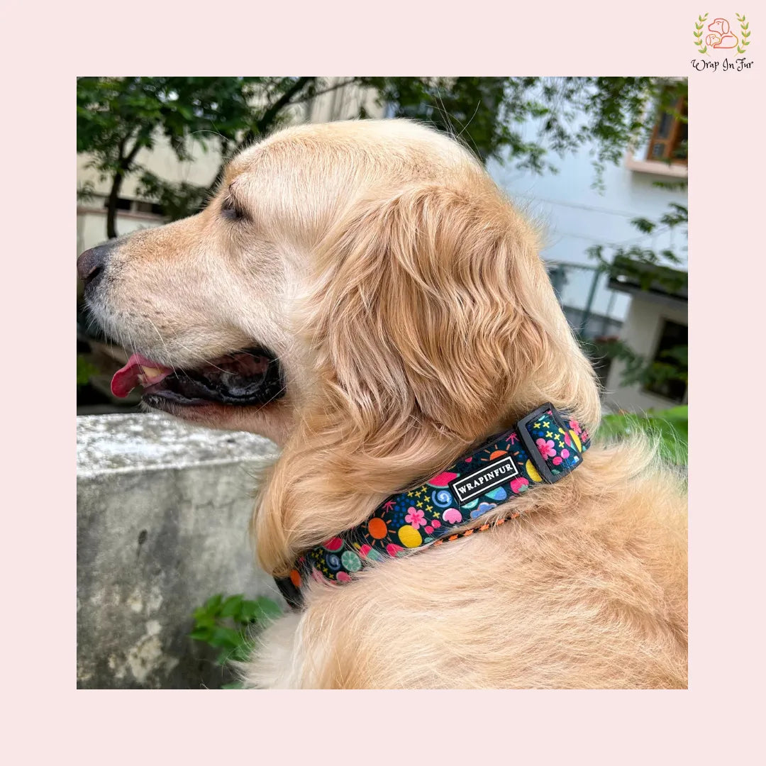 cute garden Dog Collar with Leash