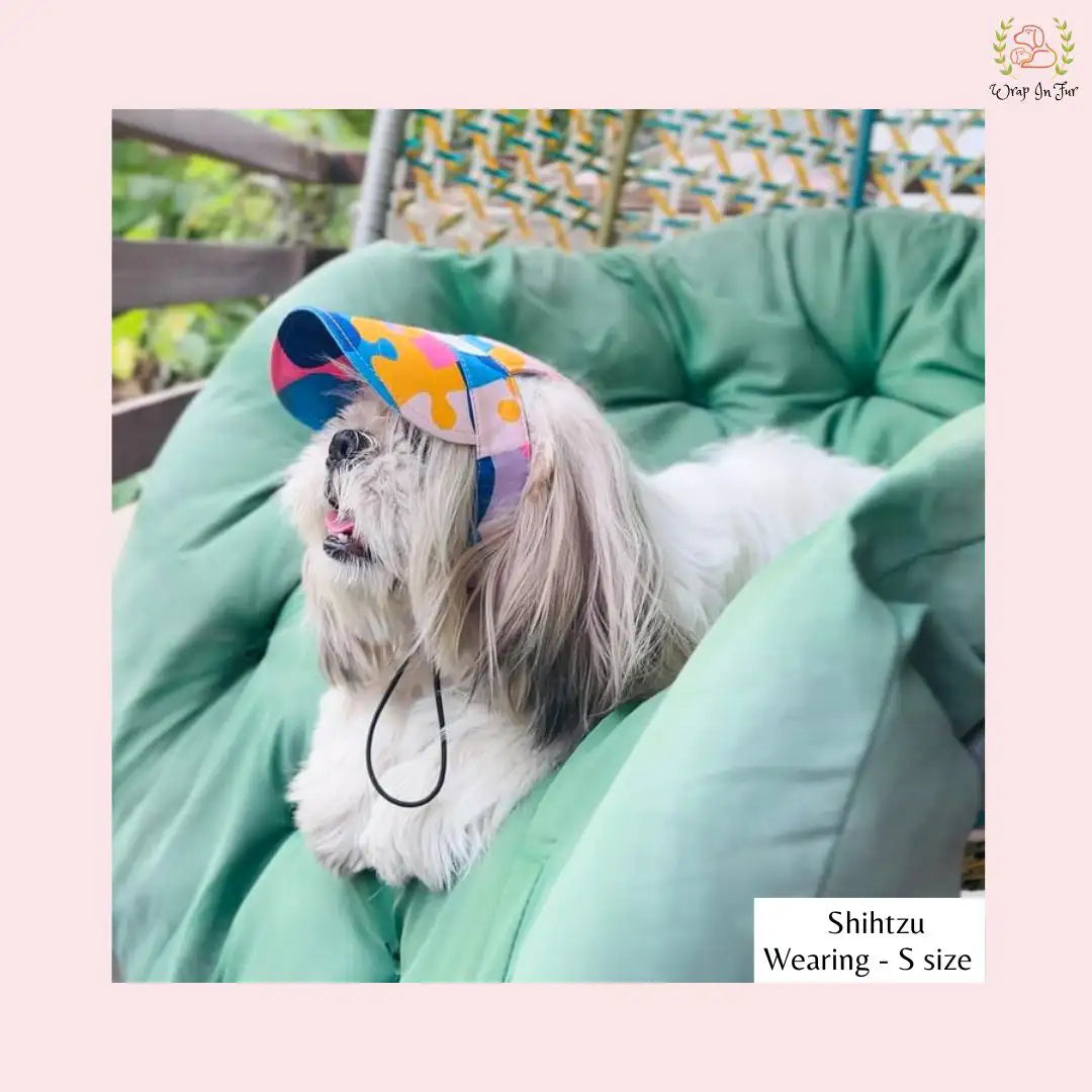 cute dog cap for shihtzu