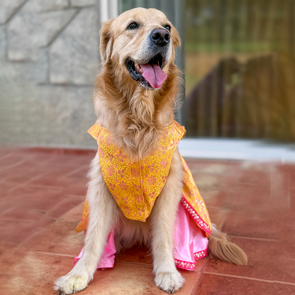 Golden Bloom Dog Princess Dress