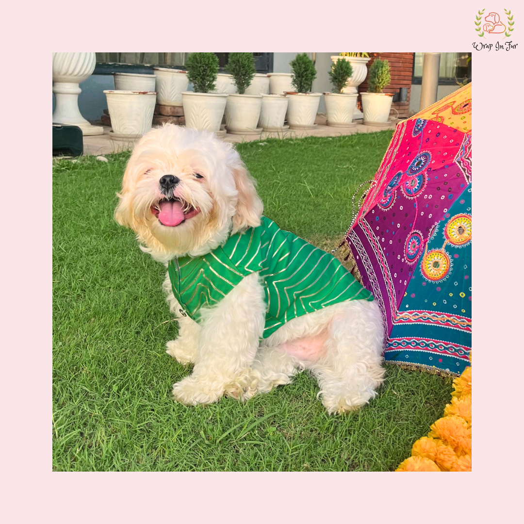 Dark Green Golden Sherwani