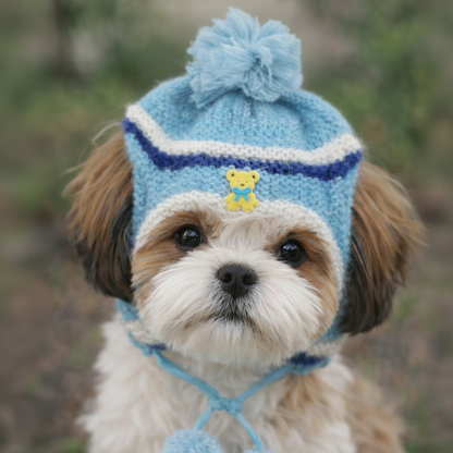 dog cap

