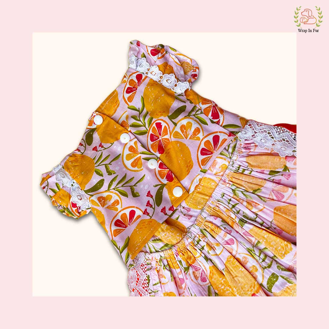 dog frock india