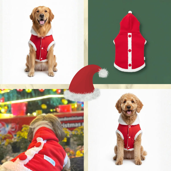 Dog santa claus Hoodie