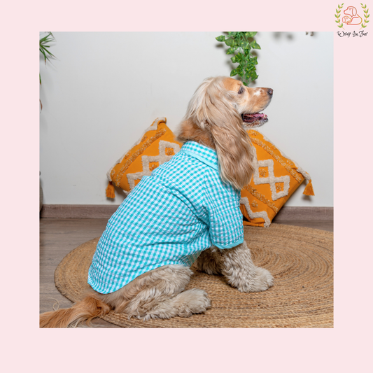 dog shirt for dogs