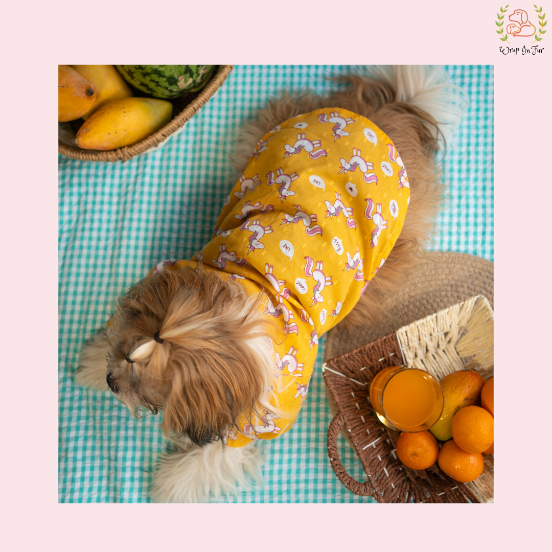 dog shirt for pet