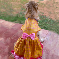 Golden Bloom Dog Princess Dress