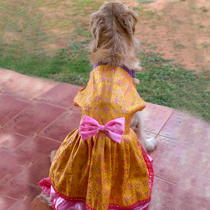 Golden Bloom Dog Princess Dress