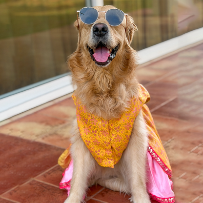 Golden Bloom Dog Princess Dress