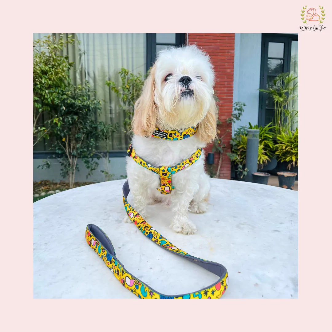 Yellow fab Dog harness with collar leash set