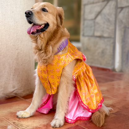 Golden Bloom Dog Princess Dress