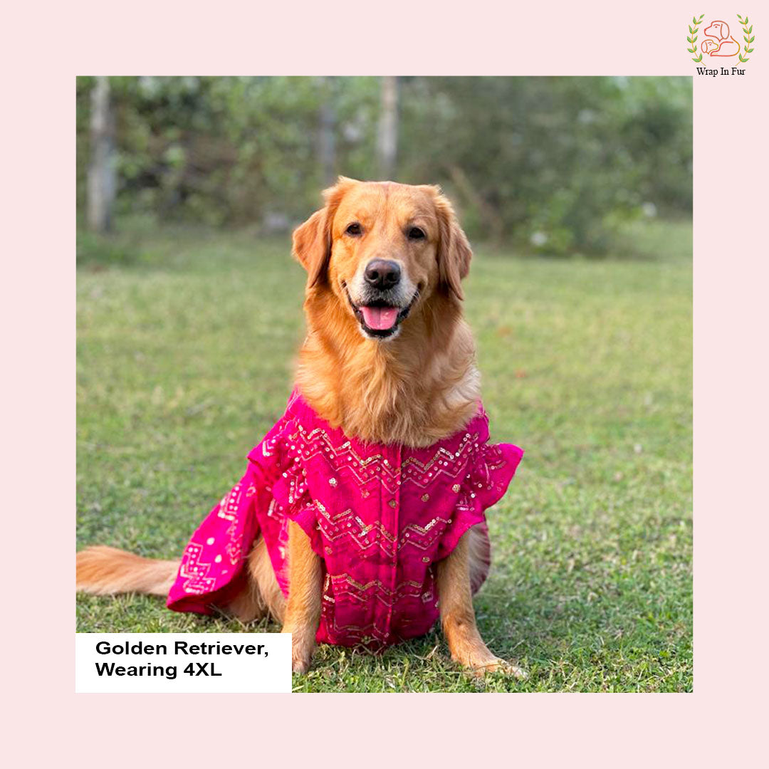 Get Dress in Pink Golden Dog Lehenga Choli Wrapinfur