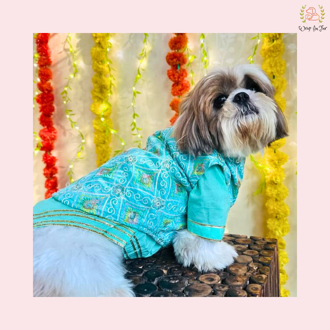 Mint Green Resham Gota Dog Kurta Jacket Set - Indian Dog Ethnic Wear Dress