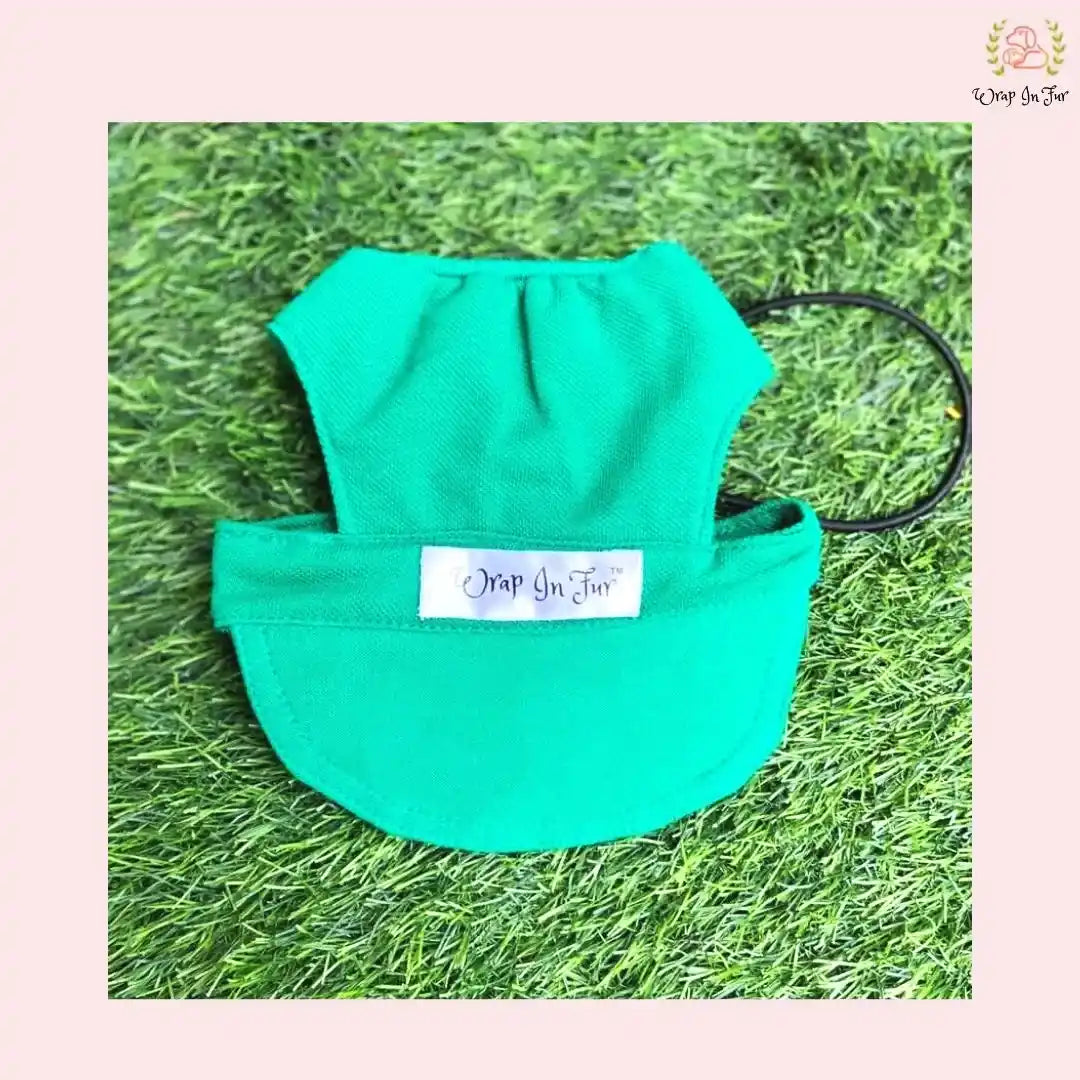 green color cap for dog