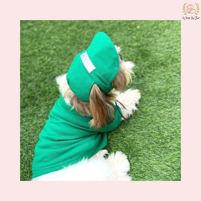 green dog cap with tshirt