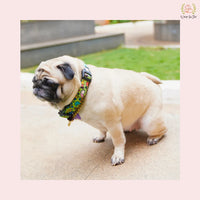 Green Fab Collar
