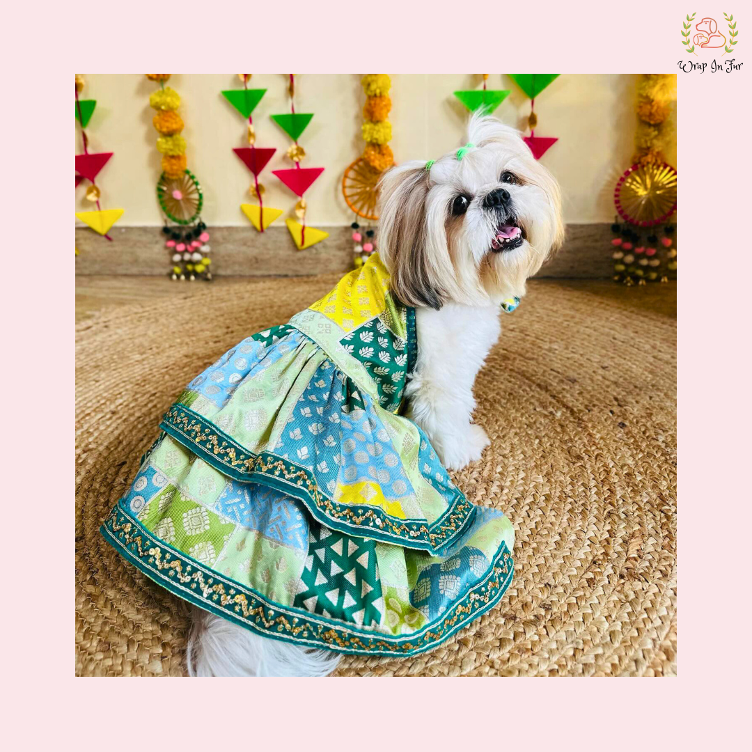 Green Flair Dog Frock