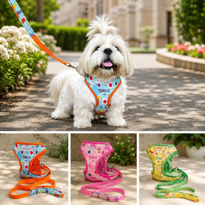 Dog Harness