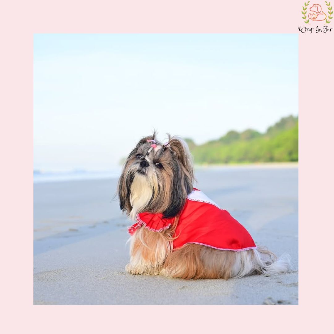 heart shape dog shirt