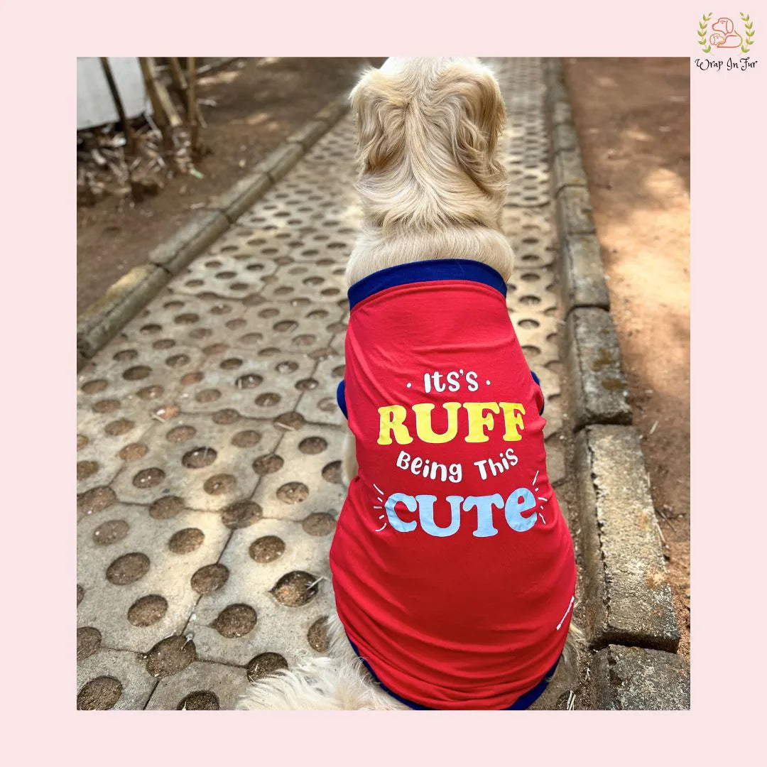 its rough being this cute tshirt for dog