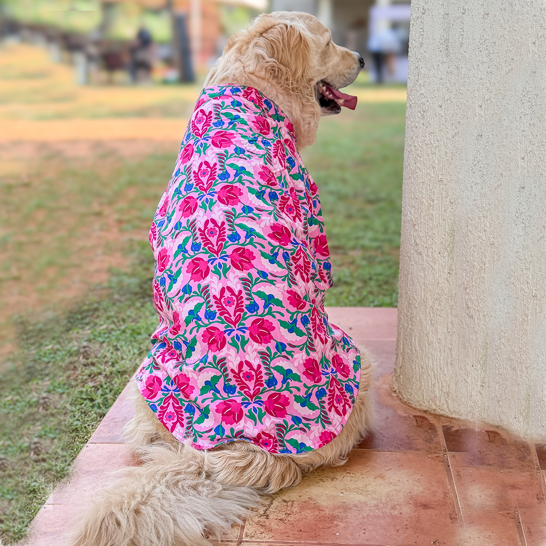 Pink Floral Cotton Dog Kurta