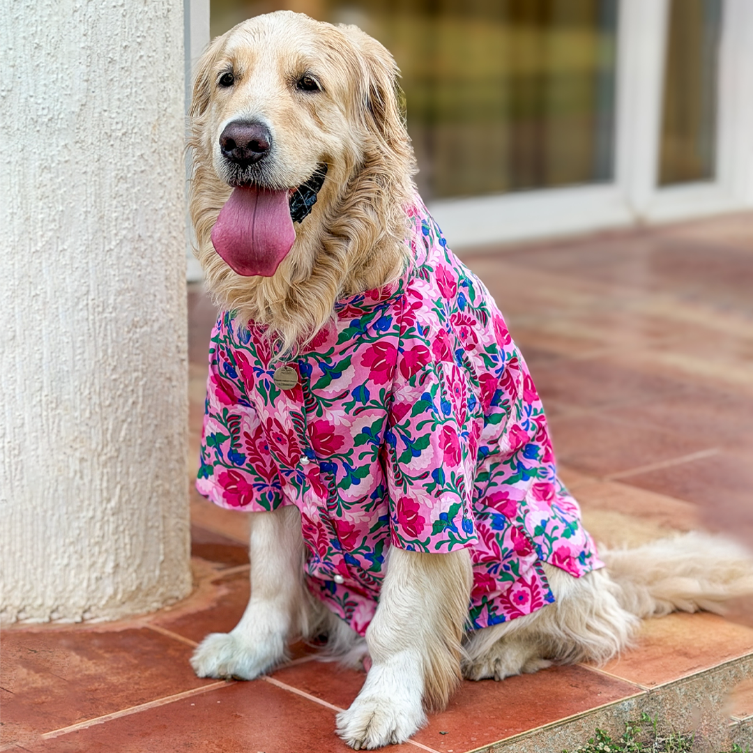 PinK Dog Kurta
