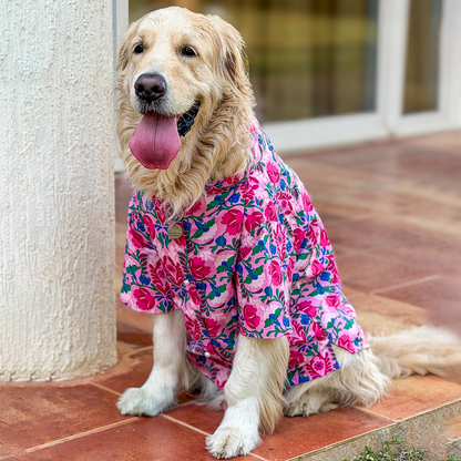 PinK Dog Kurta