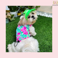 neon green dog cap for Shih tzu