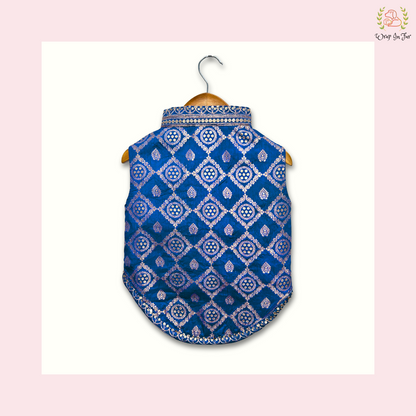 Blue Embroidered Dog Sherwani