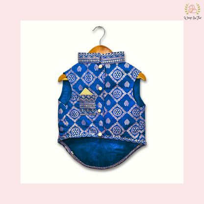 Blue Embroidered Dog Sherwani