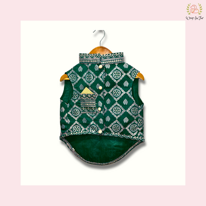 Green Embroidered Dog Sherwani