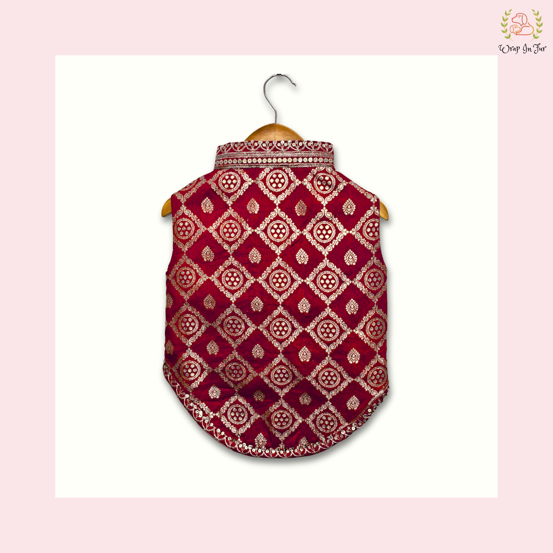 Red Embroidered Dog Sherwani