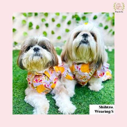 Tropical Orange Dog Frock