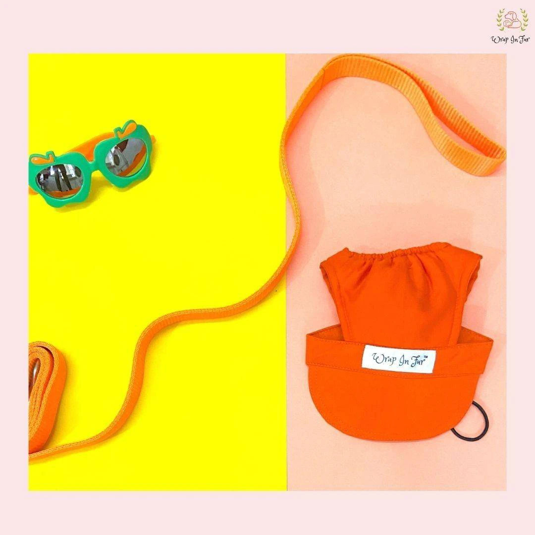orange dog harness with cap