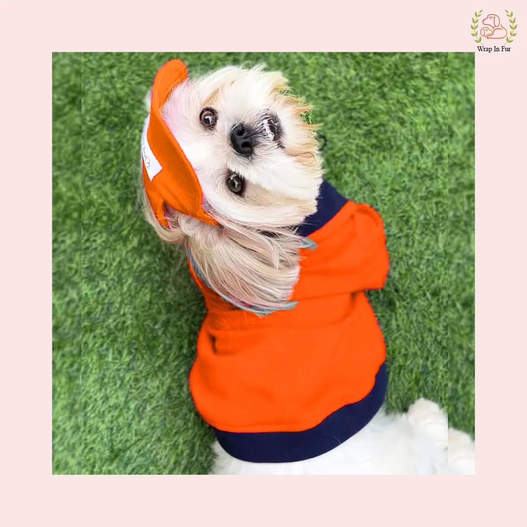 orange dog cap with tshirt