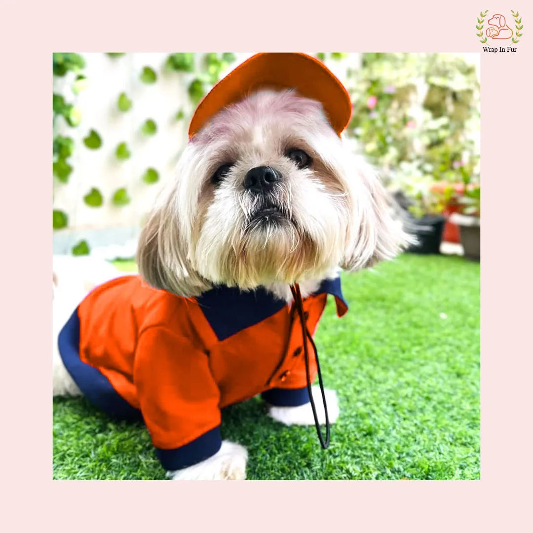 orange dog cap for small dog