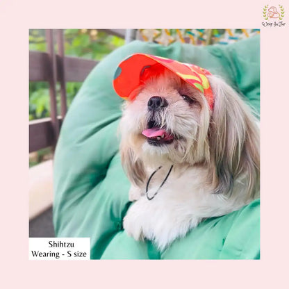 orange neon dog cap for small dog