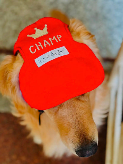personalise red dog cap for labrador