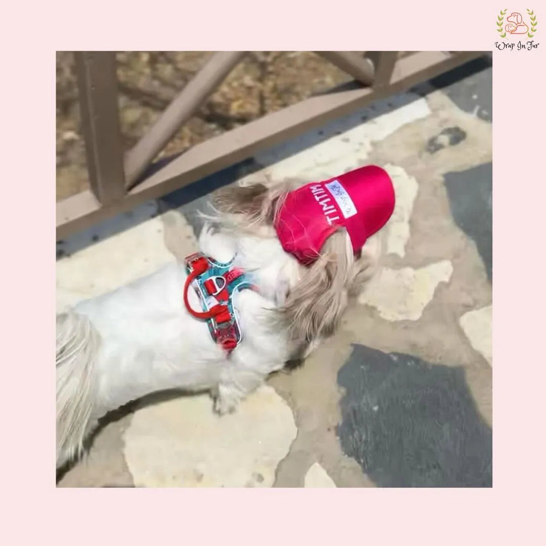 personalised pink cap for small dog