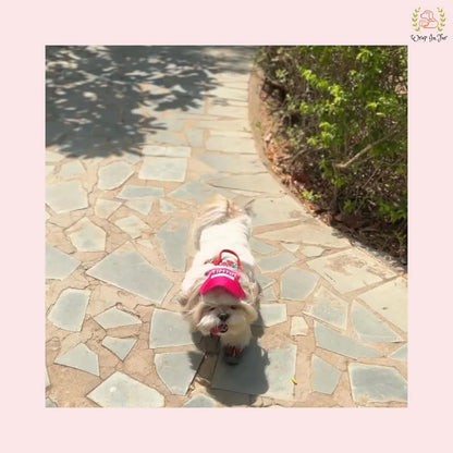 personalised pink dog cap