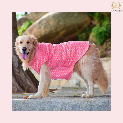 Light Pink Golden Sherwani