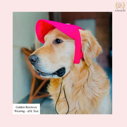 stylish pink dog cap
