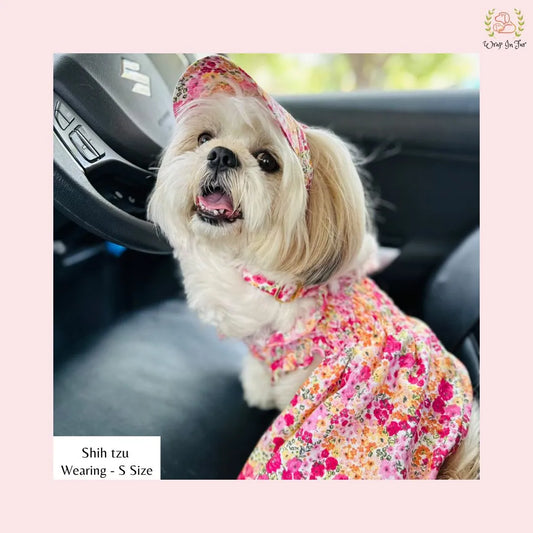 pink floral cap and frock for dog