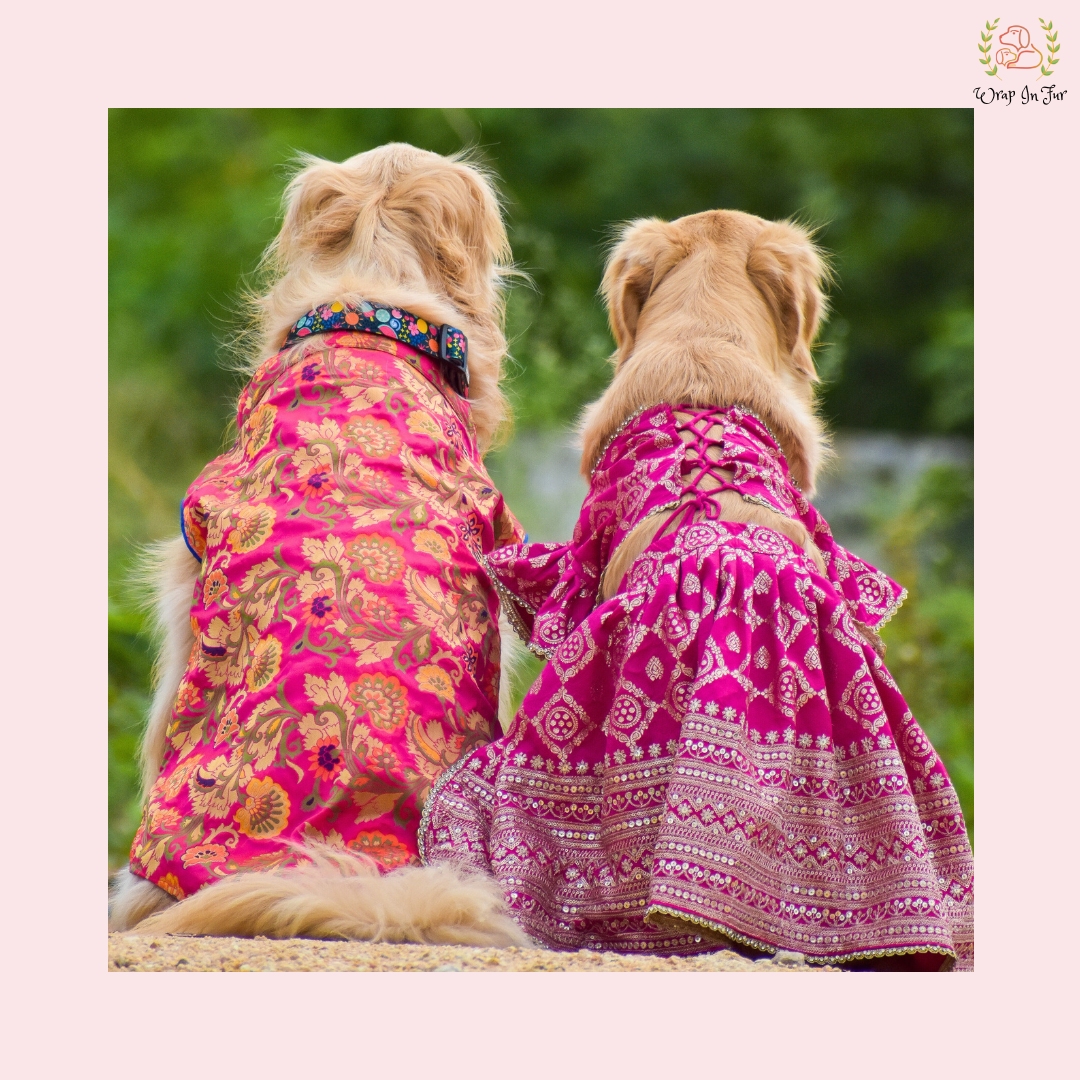 Pink Mastani Dog Lehenga Choli