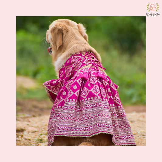 Pink Mastani Dog Lehenga Choli