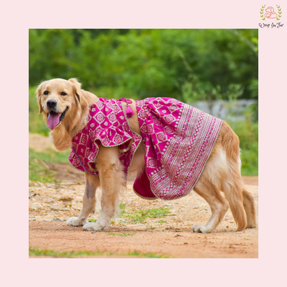 Pink Mastani Dog Lehenga Choli