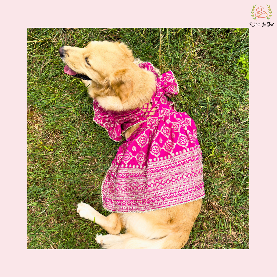 Pink Mastani Dog Lehenga Choli