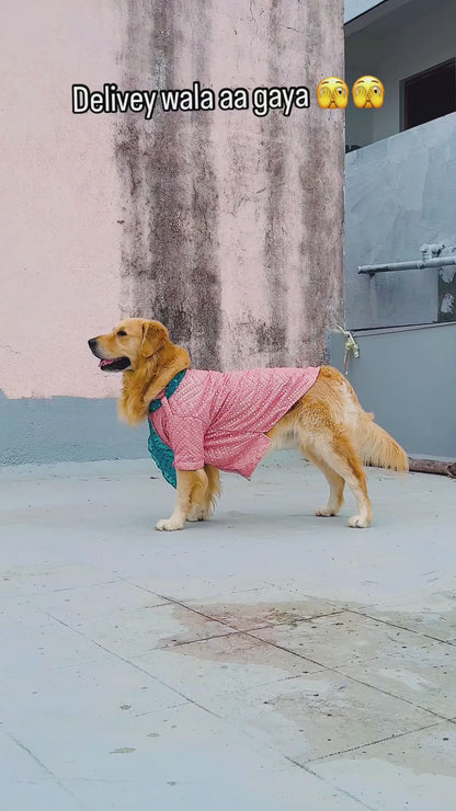 Pastel Pink Kurta With Dupatta