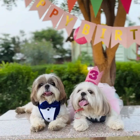 Cotton Candy Birthday Dog Dress