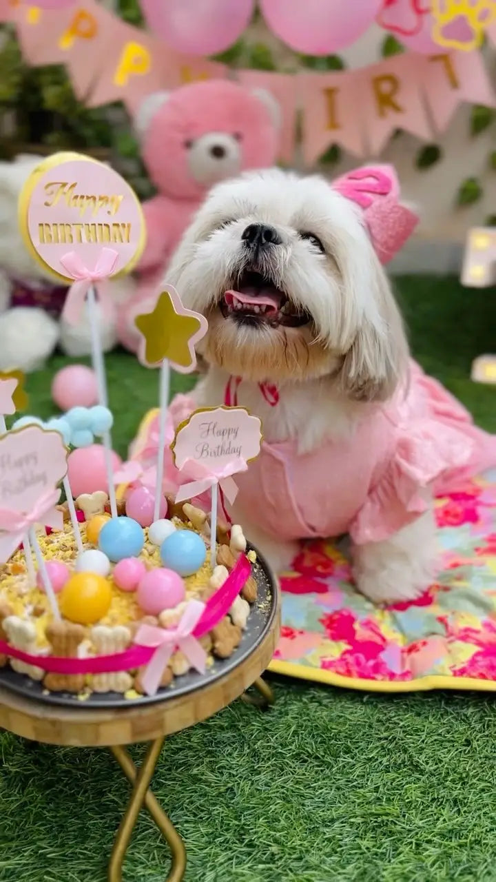 Pink fairy Birthday Shihtzu Dog Dress gown