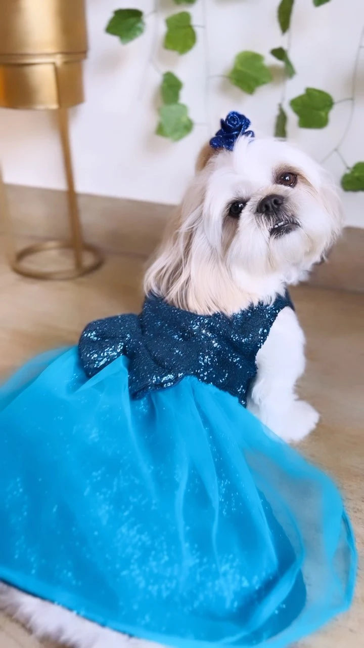 Royal Blue Dog Wedding Dress | Sparkle Bridal Gown for Dogs XXXXL Royal Blue Dog Wedding Dress | Sparkle Bridal Gown for Dogs XXXXL